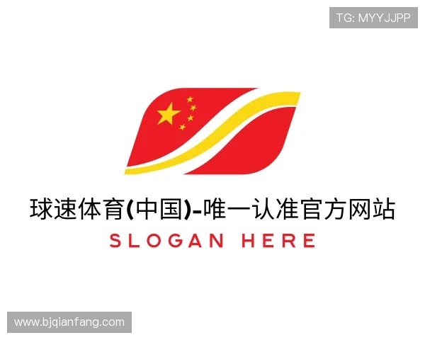 关于球速官网